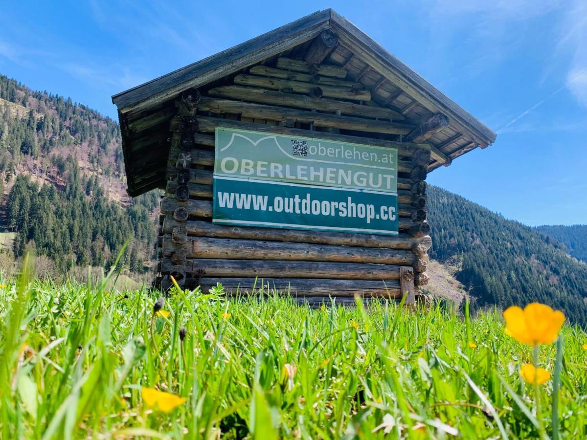 Alpen Appartements Oberlehengut Werfenweng Luaran gambar
