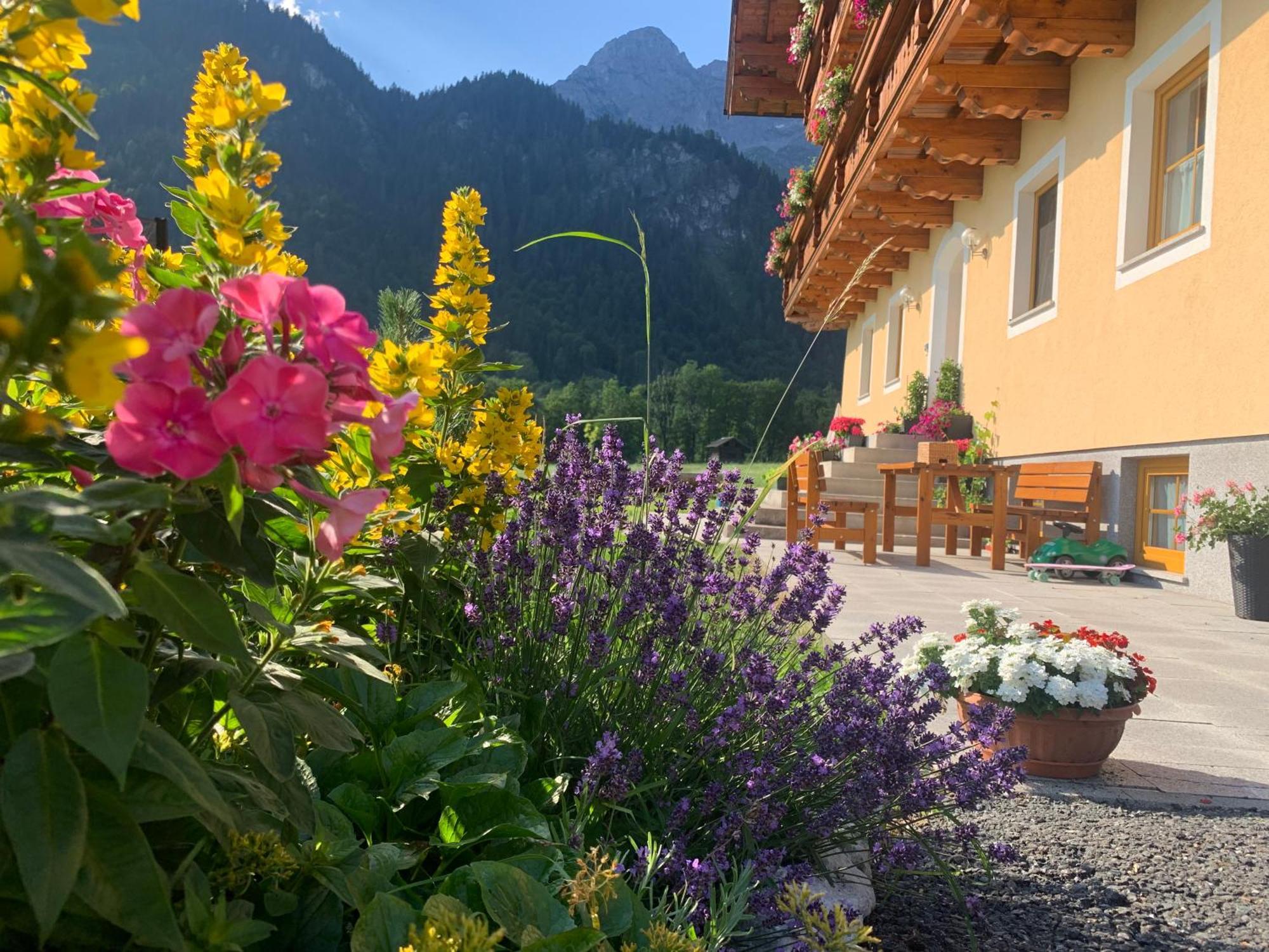 Alpen Appartements Oberlehengut Werfenweng Luaran gambar