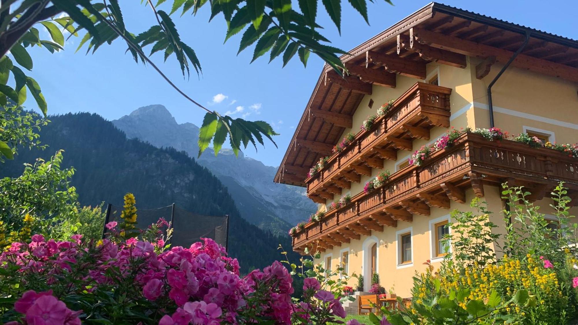 Alpen Appartements Oberlehengut Werfenweng Luaran gambar