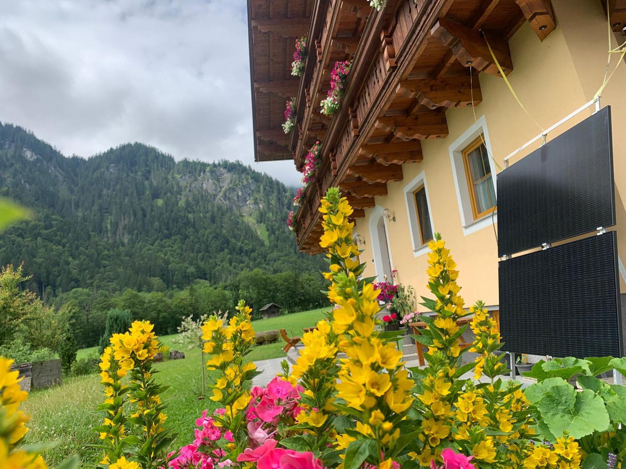 Alpen Appartements Oberlehengut Werfenweng Luaran gambar
