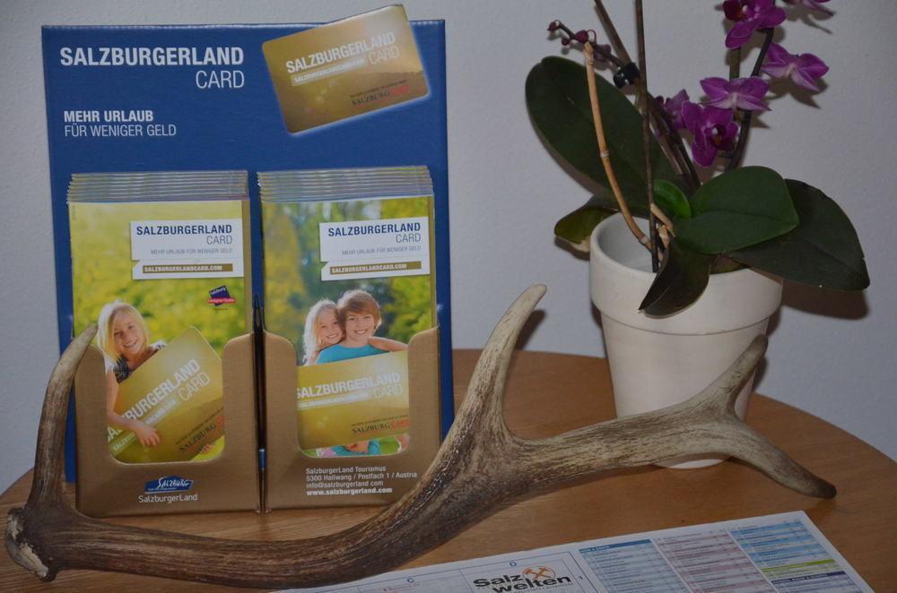 Alpen Appartements Oberlehengut Werfenweng Luaran gambar