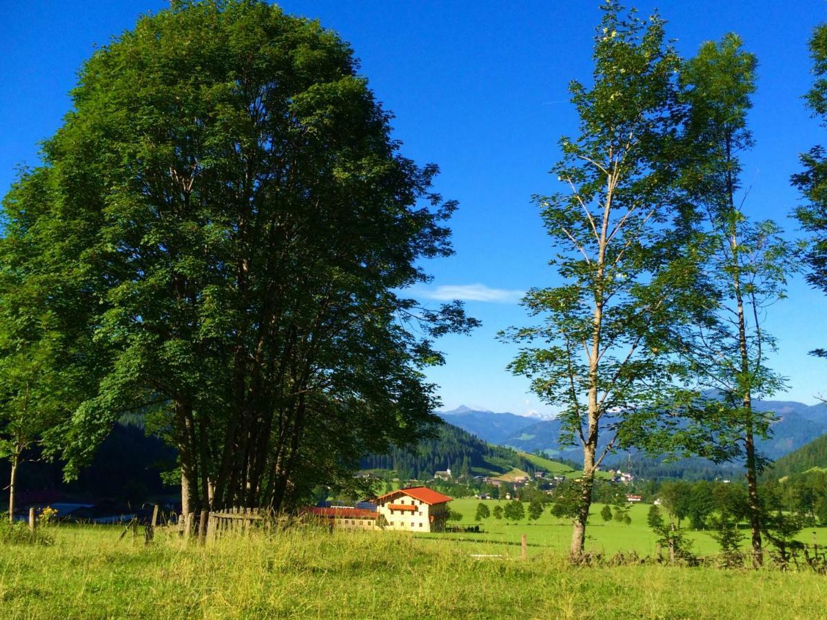 Alpen Appartements Oberlehengut Werfenweng Luaran gambar